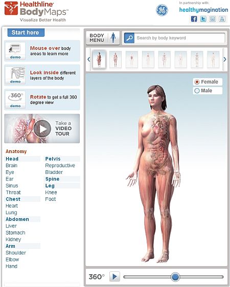 Anatomia Corpo Umano: Visualizzazione Interattiva in 3D