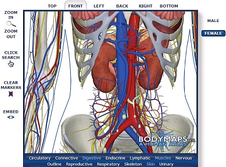 BODY MAPS un nuovo Atlante Umano di Anatomia Online