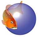 Trova informazioni e foto di tutti i pesci al mondo