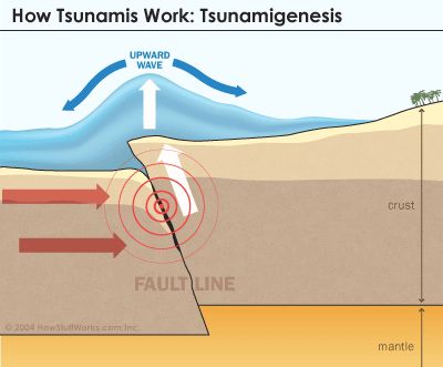Tsunami o Maremoto: Perché il Mare amico diventa cattivo